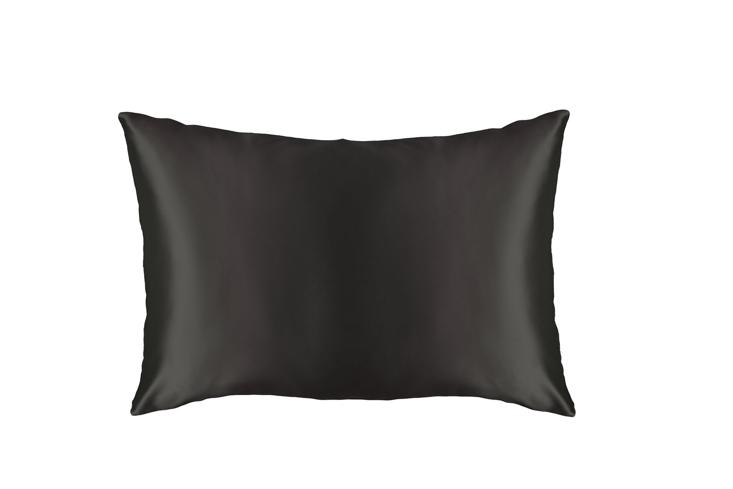 Deepest Onyx (Black) | 100% Mulberry Silk Pillowcase - Double